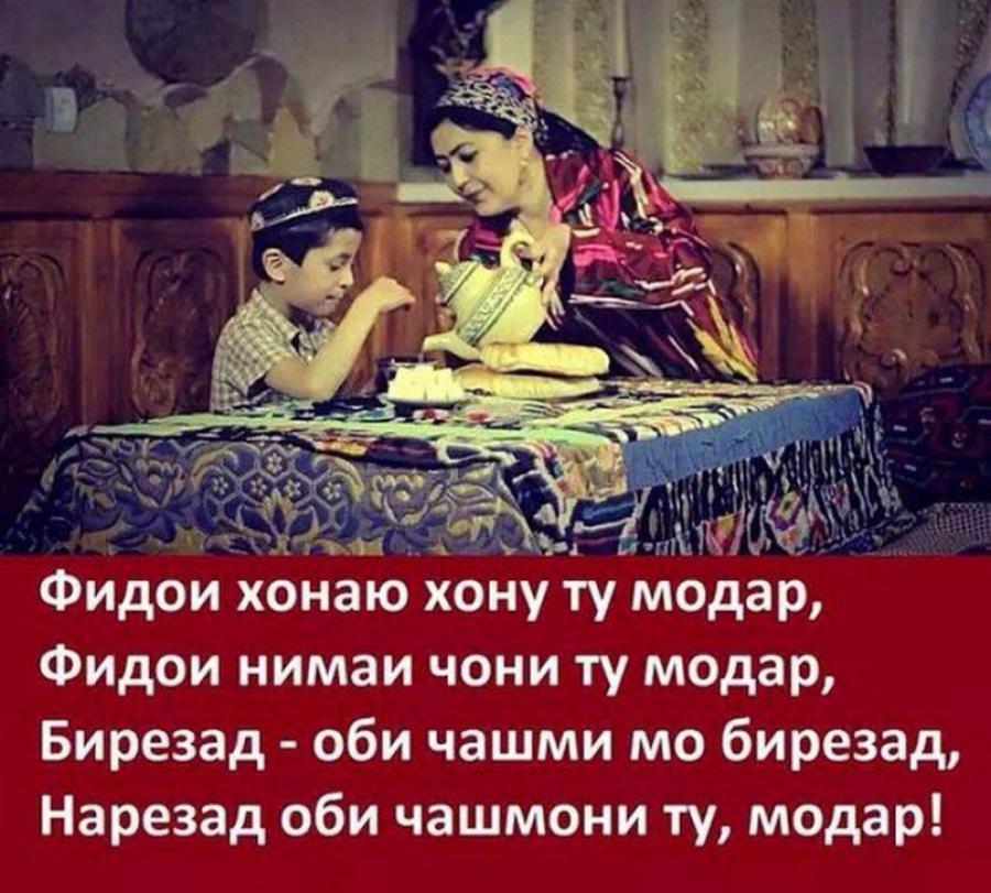 Шер барои падар